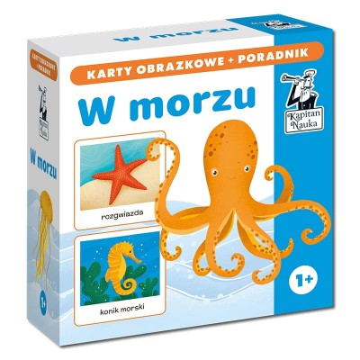 Karty obrazkowe W morzu Kapitan Nauka