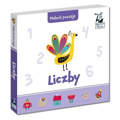 Książeczka Maluch poznaje liczby Kapitan Nauka