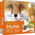 Gra Memory Fauna Polski Adamigo.jpg