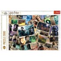 Puzzle Trefl Harry Potter bohaterowie.jpg