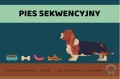 Pies sekwencyjny Centrum Metody Krakowskiej.jpg