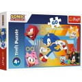 Puzzle Sonic w akcji.jpg