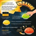 Gra rodzinna Vabang.png