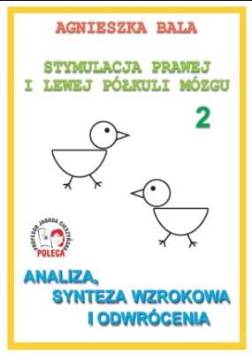 Zeszyt ćwiczeń Analiza, synteza wzrokowa i odwrócenia Arson