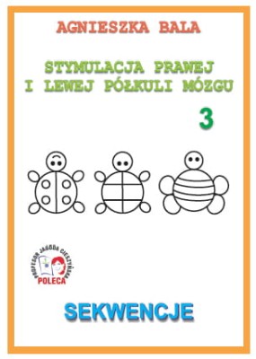 Zeszyt ćwiczeń Sekwencje Arson