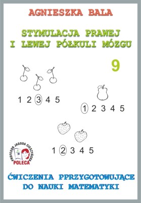 Zeszyt ćwiczeń Ćwiczenia przygotowujące do nauki matematyki Arson