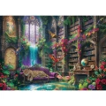 Magiczna biblioteka puzzle 1000.jpg